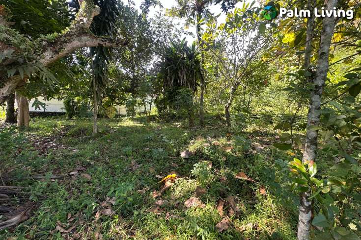 Hillside Plot in Kayuputih for Sale