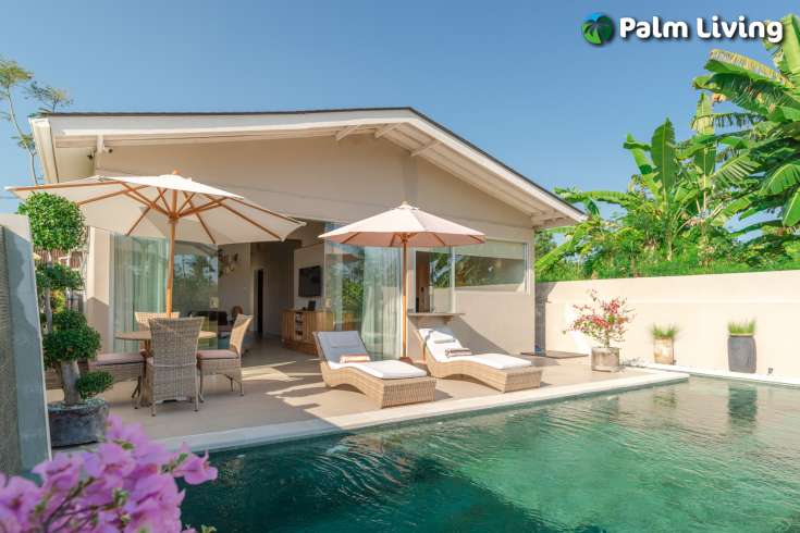 Minimalist Elegant Style Villa for Sale