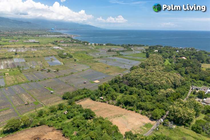 Hillside Land For Sale Bali