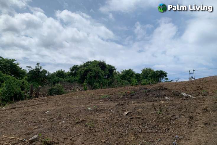 Hillside Land For Sale Bali