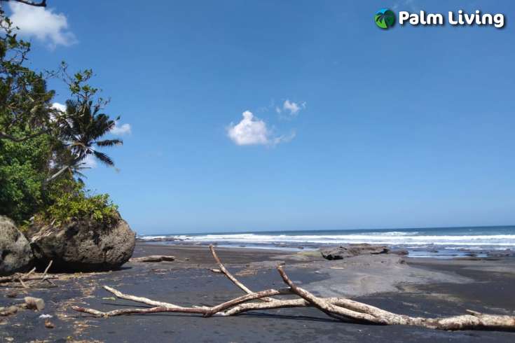 Land for Sale in Tabanan
