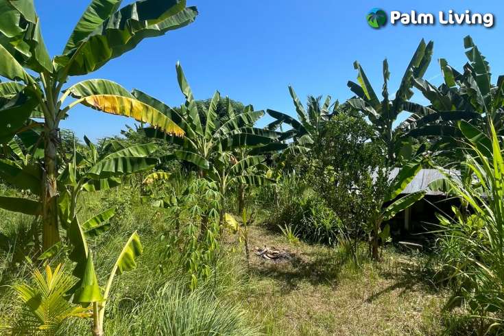 Land Plot in Kayuputih for Sale
