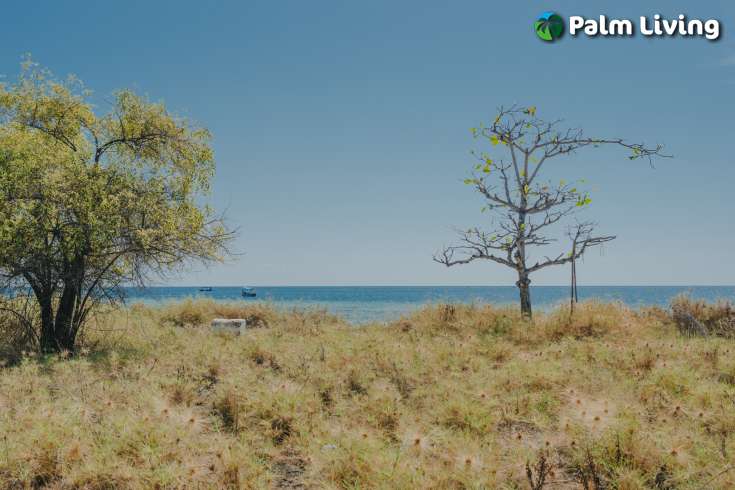 Stunning Seaview land for sale in Pemuteran