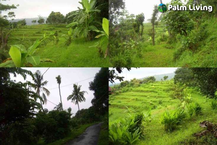 Land For Sale in Bali, Kayuputih