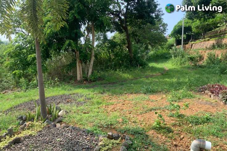 Land plot with Small Two Storey House