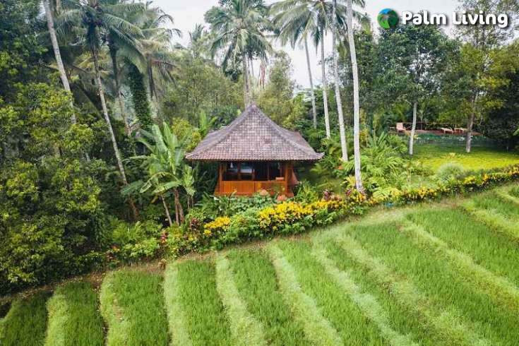 Tabanan mountain resort for sale