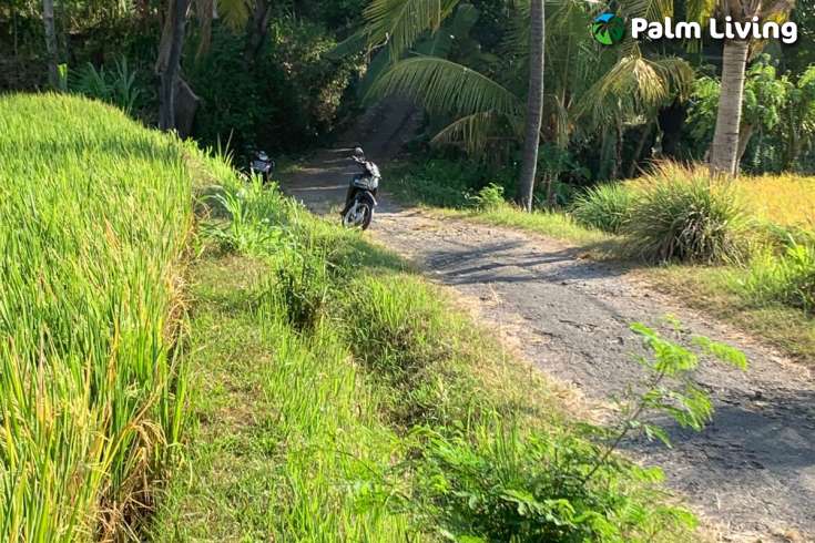 Scenic Land Plot in Panji for Sale