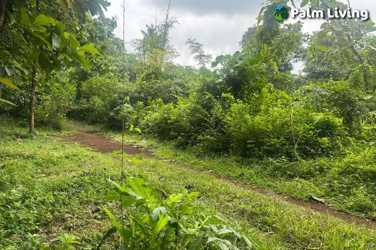 Simple & Affordable Land for Sale