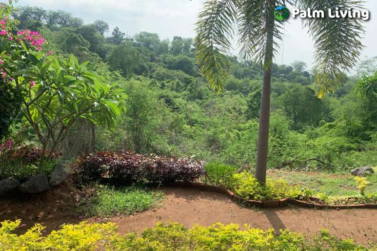 Land plot with Small Two Storey House