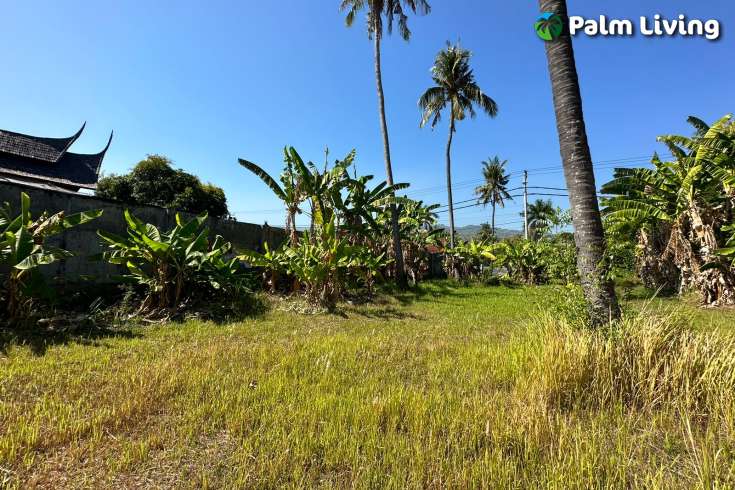 Beachfront Land Close to Central Lovina