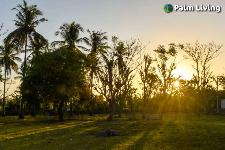 Beachfront Land In Sumberkima Bali