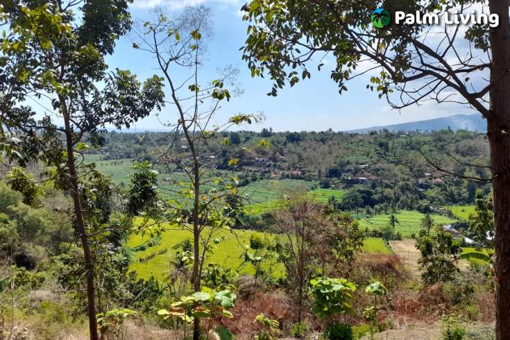 Hillside Land For Sale, North Bali