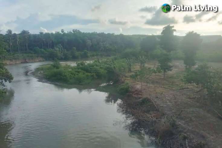 Tranquil Land For Sale in Sumba
