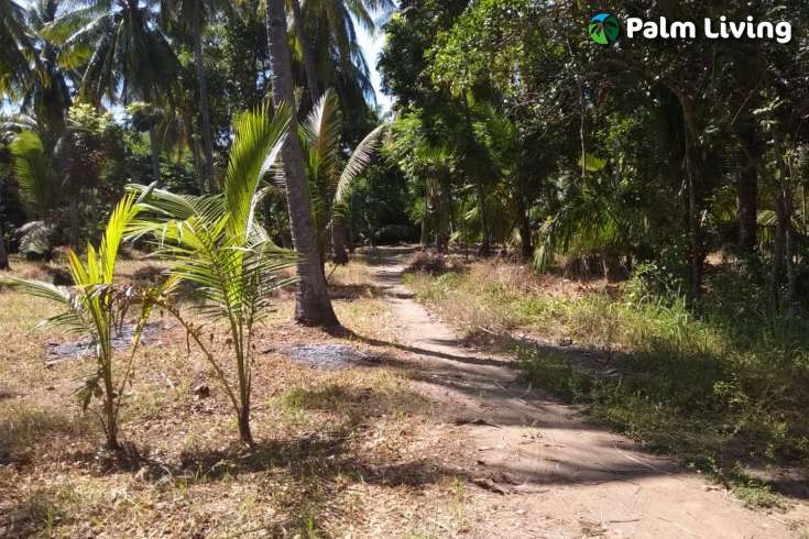 Beachfront Land In Lombok For Sale