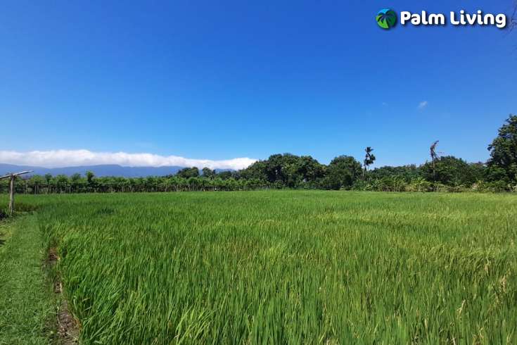 Bali Beachfront Land for sale