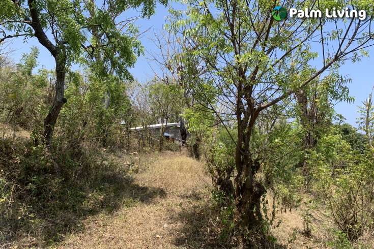 Hillside Plot with Ocean View