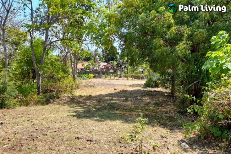 Unique land plot close to central Lovina