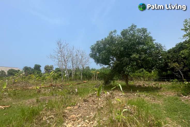 Dencarik Plot Close to The Beach