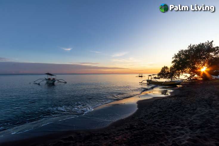 Tropical Beachfront Villa for Sale