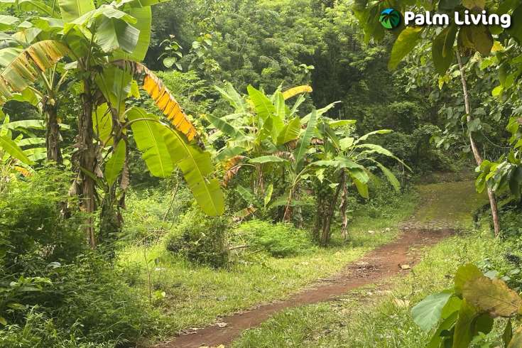 Simple & Affordable Land for Sale