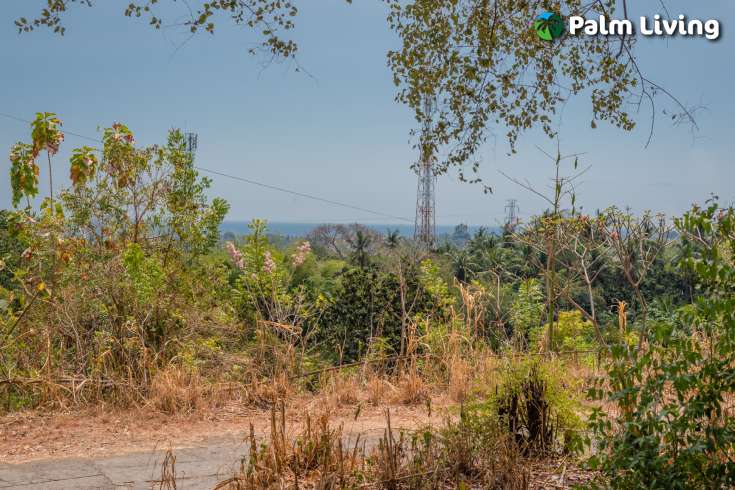 Perfect Land Plot close to Central Lovina