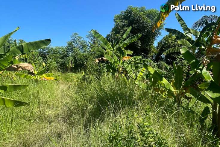 Land Plot in Kayuputih for Sale
