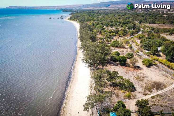 Beachfront Plots for Sale in Mondu