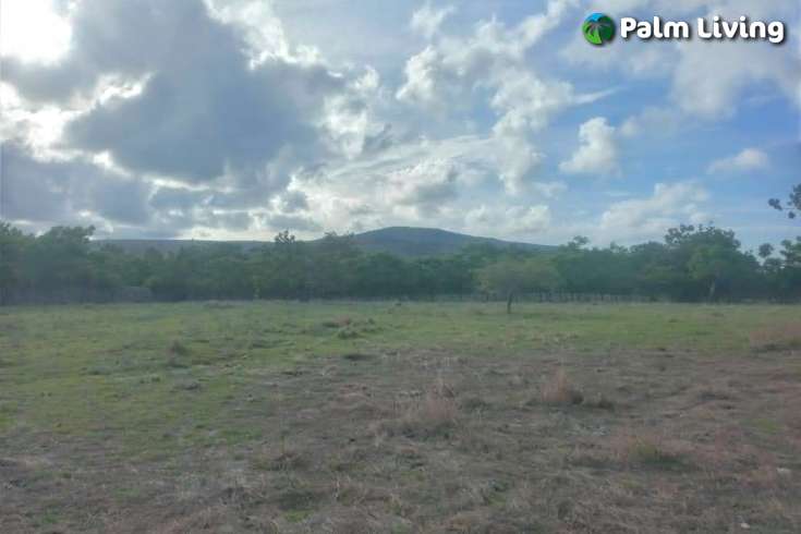 Tranquil Land For Sale in Sumba