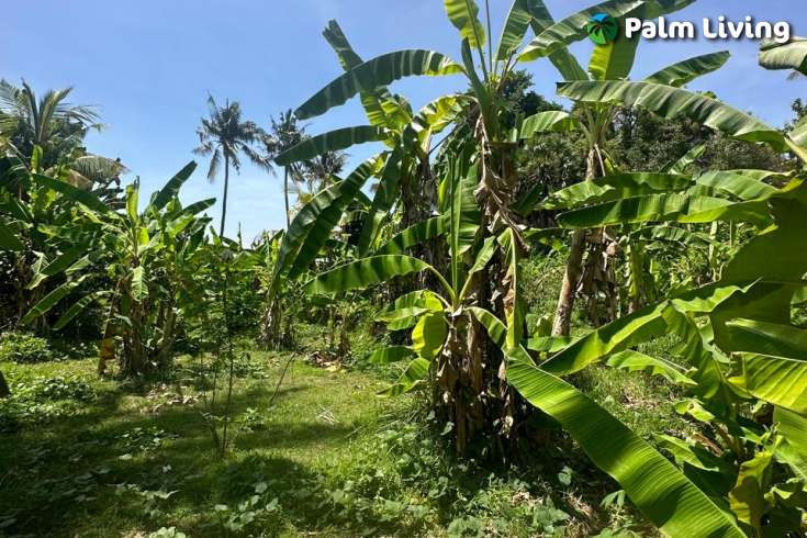 Nice Flat Land plot for Sale