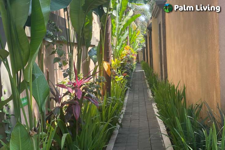 Popular Villa in Ubud for Sale