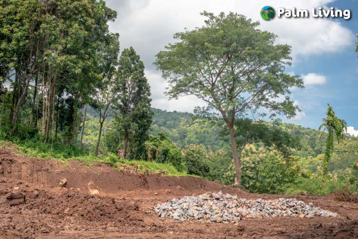Land Plot Features Ocean View