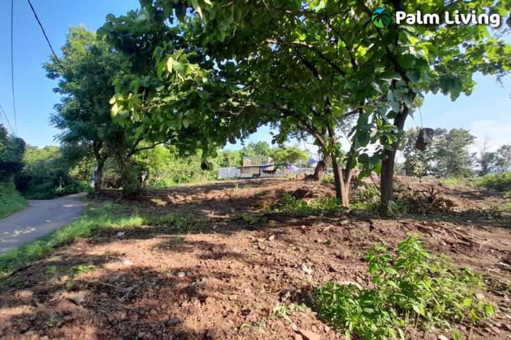 Panoramic Land for sale in Umeanyar