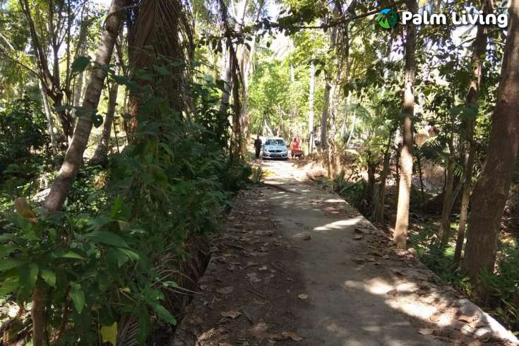 Beachfront Land In Lombok For Sale