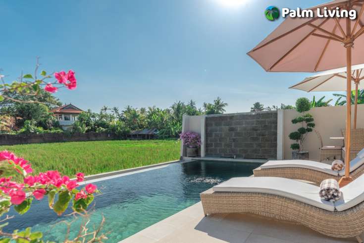 Minimalist Elegant Style Villa for Sale
