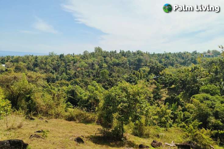 Hillside Land close to Central Lovina