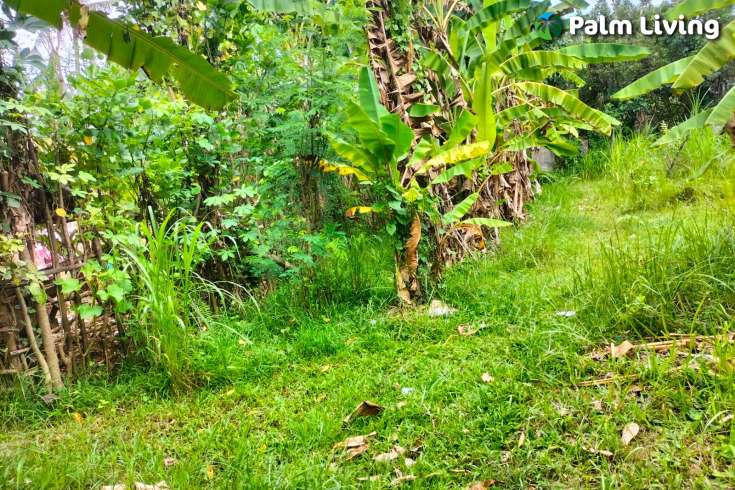 Prime Land in Kaliasem for Sale