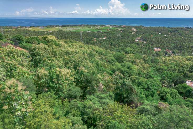Elevated Big Plot in Kaliasem for Sale
