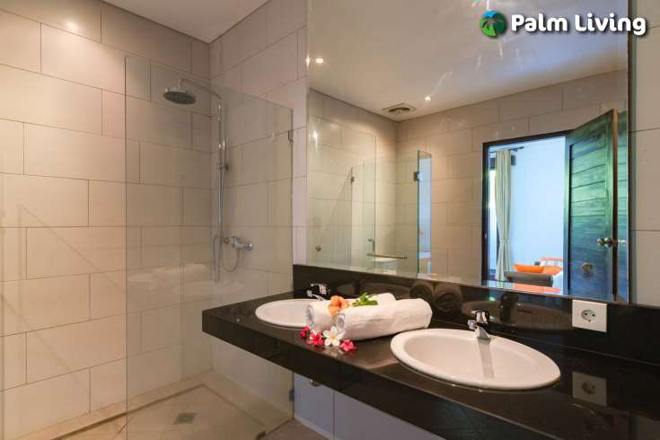 Investment Opportunity with Twin Villas