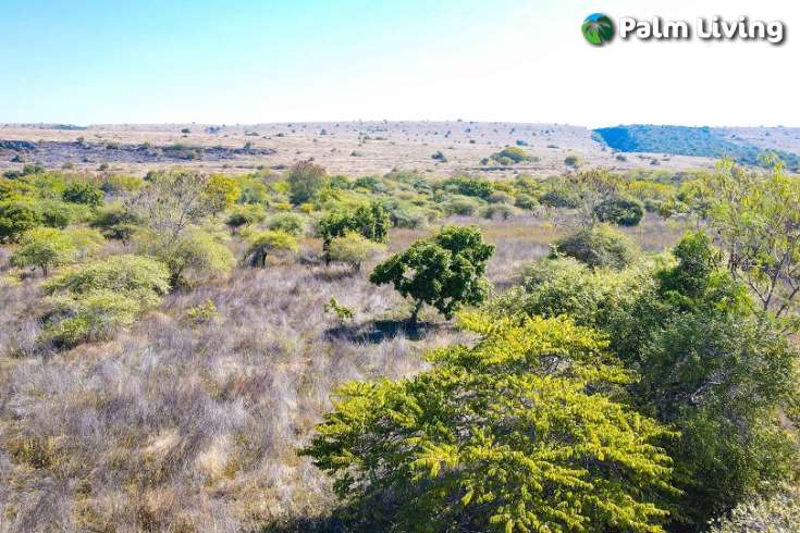 Huge Beachfront Land in Hamba Praing Sumba