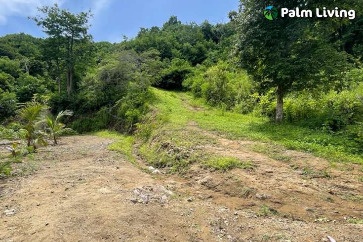 Attractive Land in South Lombok for Sale