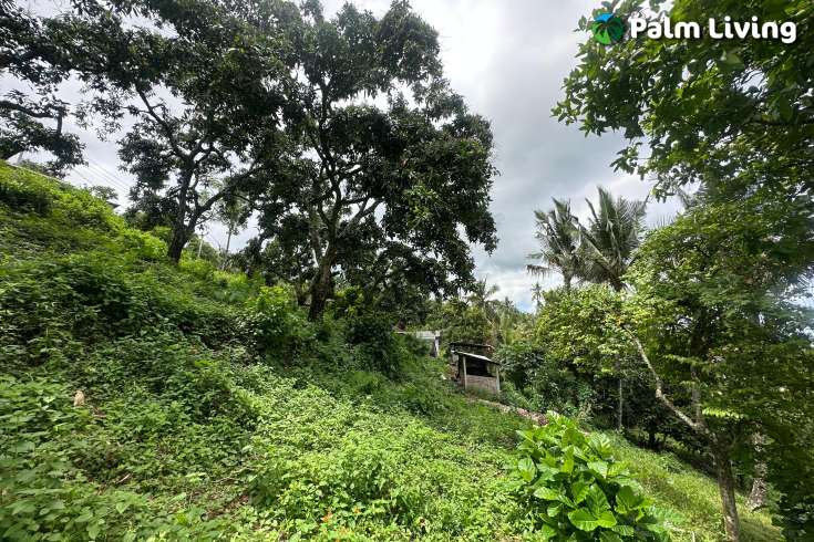Land Hillside Kayuputih for Sale