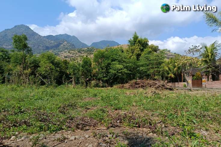 Freehold Land for sale in Pemuteran