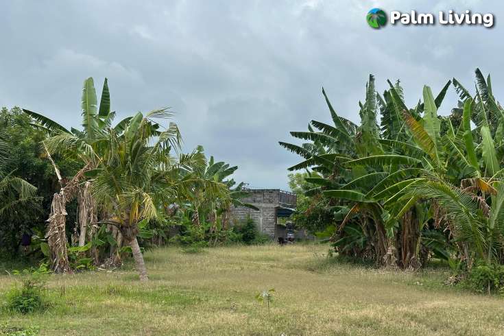 Beachfront Land West Lovina for Sale