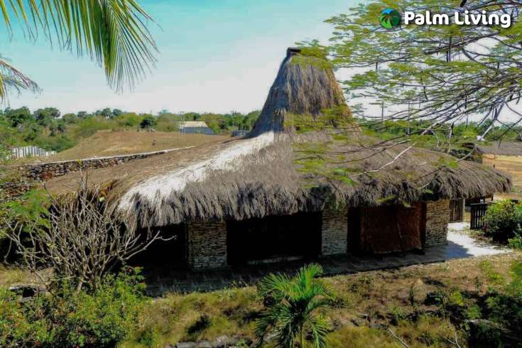 Hillside Villa for Sale in Padadita, East Sumba