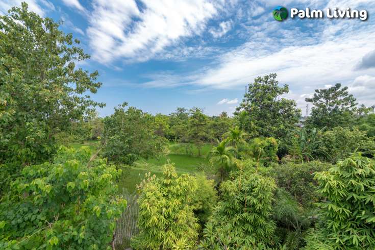Modern Villa for sale Central Lovina