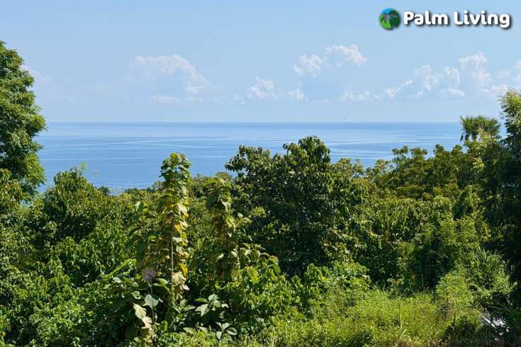 Ocean View Land for Sale in Pacung, North Bali