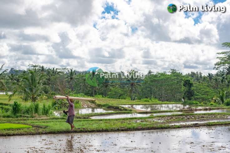 Prime Land for Sale Near Ubud