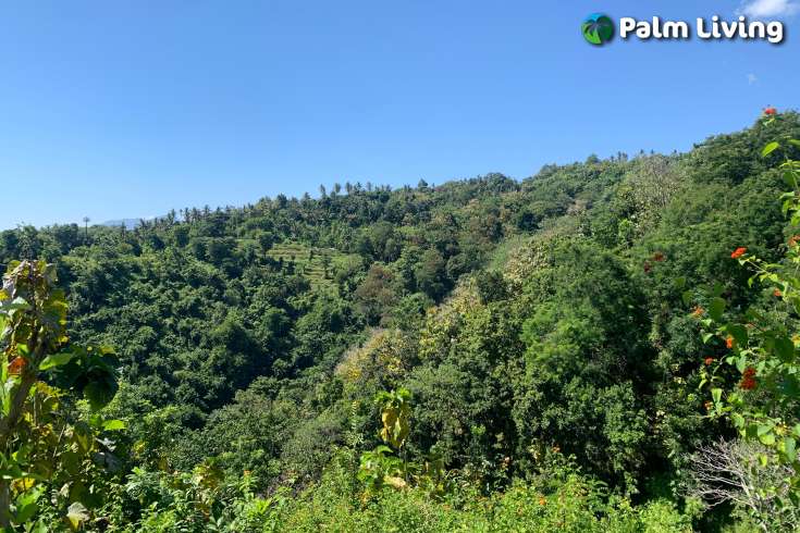 Sloping Land with Ocean & Jungle Views
