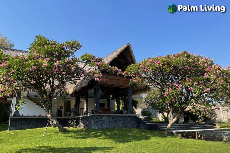 Villa or Yoga Retreat Estate in Pemuteran