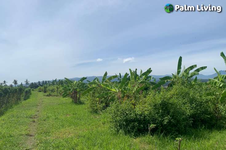 Plot for Sale with Mountain Views